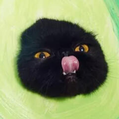avocat